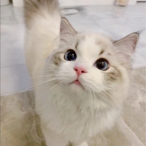 Meet your Posher, Lucia